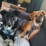 Ersteller:in Birgit Profilbild