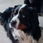 Ersteller:in Viola Profilbild