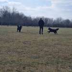 Hundeauslaufgebiet-Bergwerksee Reichelsheim-Bild