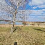 Hundeauslaufgebiet-Bergwerksee Reichelsheim-Bild