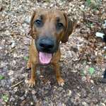 Ersteller:in Niko Profilbild