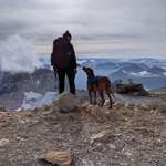 Ersteller:in Iulia Profilbild