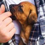 Ersteller:in Manu Profilbild