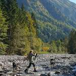 Ersteller:in Alessa Profilbild