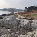 Ersteller:in Marcel Profilbild