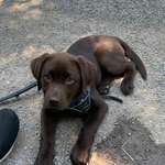 Ersteller:in Marcus Profilbild