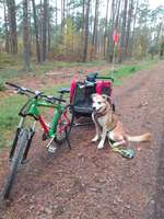 Mit Fahrradanhänger unterwegs?-Beitrag-Bild