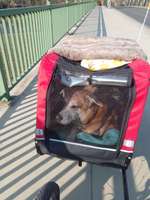 Mit Fahrradanhänger unterwegs?-Beitrag-Bild