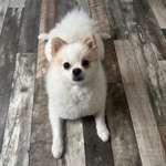 Ersteller:in Amy Profilbild