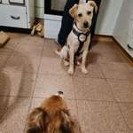 Ersteller:in Svenja Profilbild