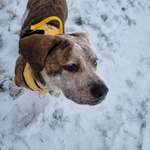 Ersteller:in Kat Profilbild