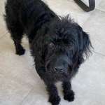 Ersteller:in Plato Profilbild