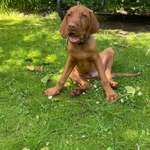 Ersteller:in Talat Profilbild