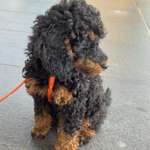 Ersteller:in Vanessa Profilbild