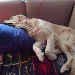 Ersteller:in Tatjana Profilbild