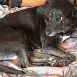 Ersteller:in Sandra Profilbild