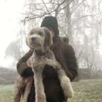 Ersteller:in Vanessa Profilbild