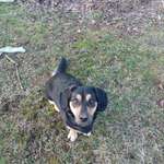 Ersteller:in Theresia Profilbild