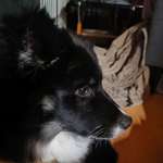 Ersteller:in Clara Profilbild