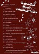 Action-Fun Hund- Aventskalender-Beitrag-Bild