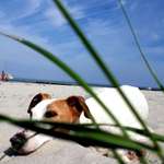 Ersteller:in Tom Profilbild