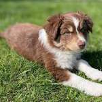 Ersteller:in Marvin Profilbild