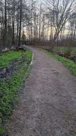 Hundeauslaufgebiet-Park Middelsfähr-Bild