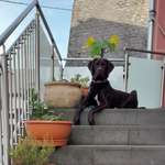 Ersteller:in Claudia Profilbild