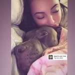 Ersteller:in Hunde Profilbild