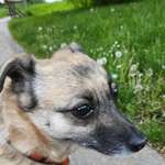 Ersteller:in Anja Profilbild