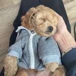 Ersteller:in Laura Profilbild