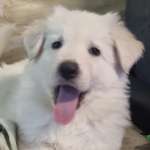 Ersteller:in Julia Profilbild