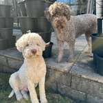 Ersteller:in Petra Profilbild