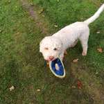 Ersteller:in Petra Profilbild