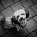 Ersteller:in Melissa Profilbild