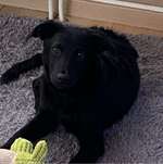 Ersteller:in Beatrix Profilbild