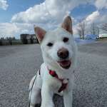 Ersteller:in Sebastian Profilbild