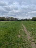 Hundeauslaufgebiet-Gibber Wiese-Bild