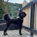 Ersteller:in kathi Profilbild