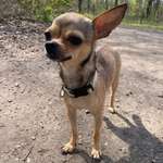 Ersteller:in Isabel Profilbild