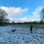 Ersteller:in Janin Profilbild