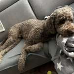 Ersteller:in Nadja Profilbild