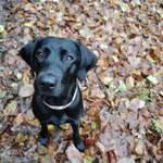 Ersteller:in Lea Profilbild