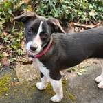 Trainingsmotivation-Beitrag-Bild