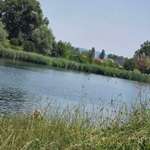Hundestrand-Kiesgrube Leubingen/ Badesee für Hunde-Bild