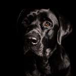 Ersteller:in Kati & Profilbild