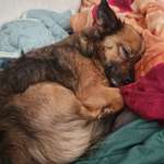 Ersteller:in Jaqueline Profilbild