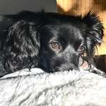 Ersteller:in Priya 🐾& Gina Profilbild