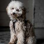 Ersteller:in Katharina Profilbild