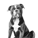 Ersteller:in Mel Profilbild